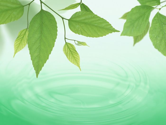 清爽绿叶,水,空气ppt背景图片素材