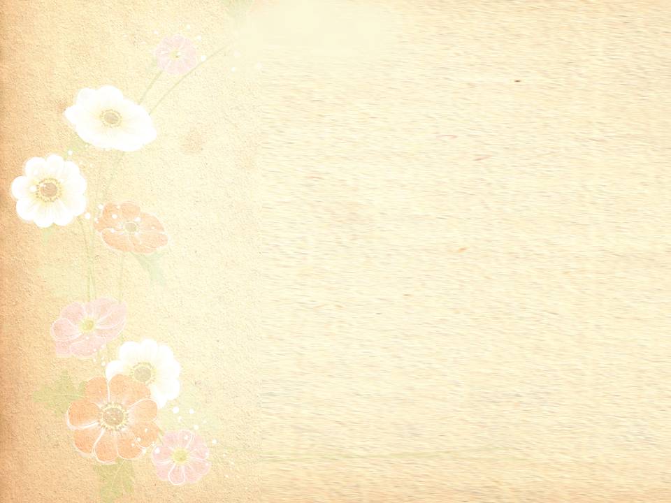 牡丹花卉ppt背景图片|幻灯片模板免费下载 - ppt宝藏