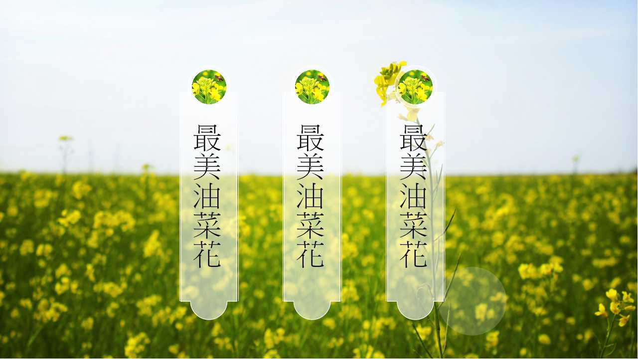 油菜花田园风光ppt模板