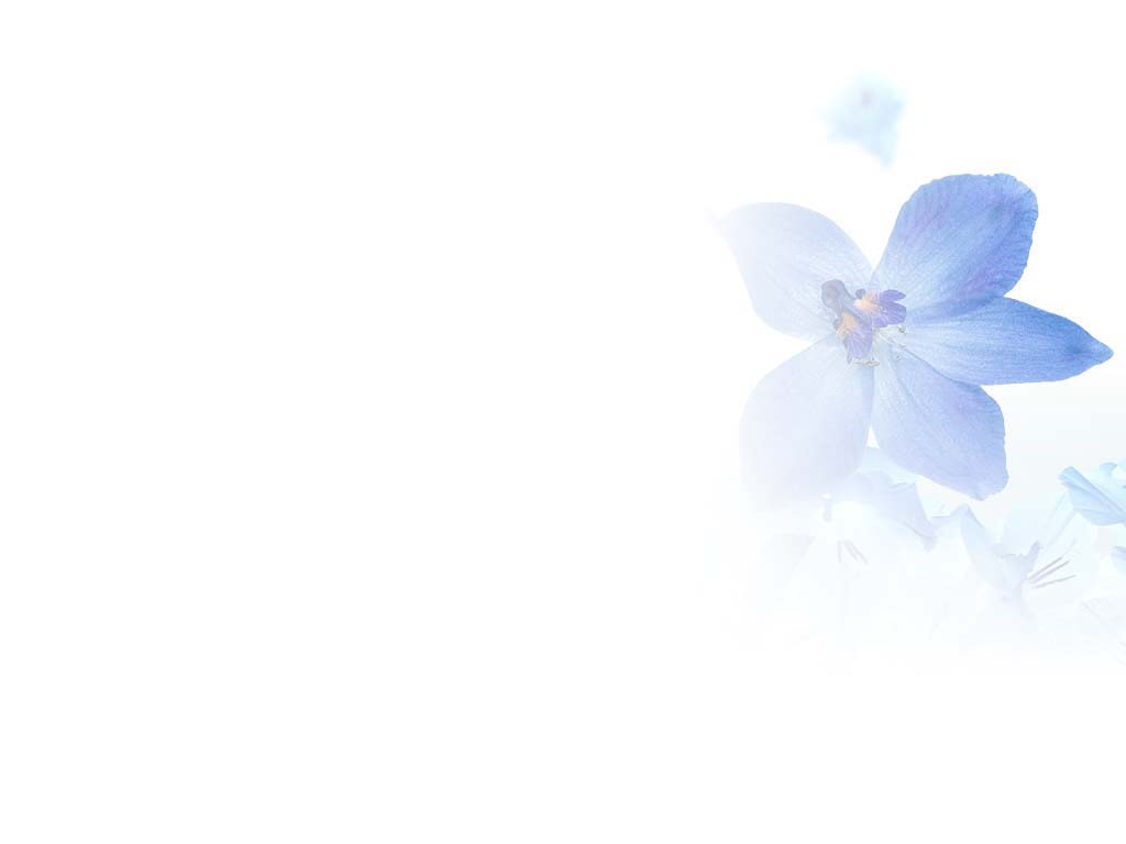 浅色淡雅ppt背景图片 花朵背景素材 Ppt宝藏提供