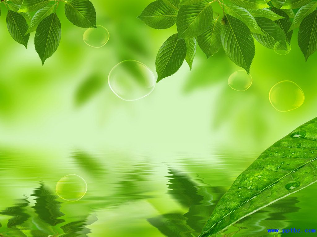 简洁淡绿色PPT背景图片|PPT宝藏提供
